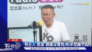 「狗主人」掀波 綠諷沒養狗.柯: 早想踹下去｜TVBS新聞 @TVBSNEWS02