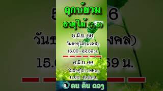 ฤกษ์ยาม ธาตุไม้ 5-6 มิ.ย. 66