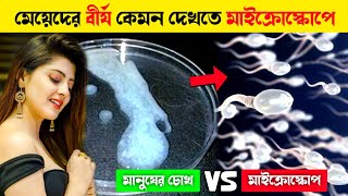 মানুষের চোখ vs মাইক্রোস্কোপ || Top 5 Amazing Things You Can Only See Under Microscope