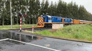 Dunedin Railways In Spring And Summer 2018 / 19