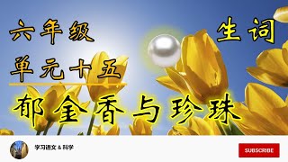 KSSR BC 华文 6年级 单元15：郁金香与珍珠  （生词）