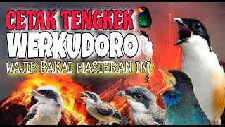 MASTERAN CENDET TENGKEK BUTO FULL TEMBAKAN PANJANG