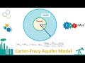 RE: Carter-Tracy Aquifer Model