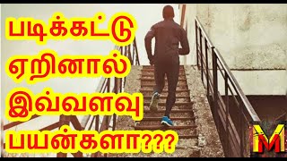 Shocking!!! Is It ?? || Benefits of Stairs Climbing!! || MASTER MIND