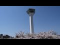 2021.4.27 函館の花見の名所五稜郭公園