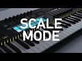 novation sl mkiii u0026 hardware overview