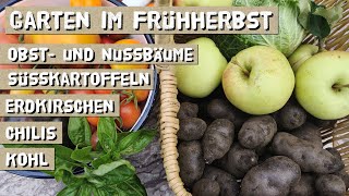 Gemüsegarten im Herbst - Walnuss, Quitte, Birne, Marone - Welcher Hausbaum für Deinen Garten?