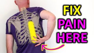 How To Fix A Sore Mid Back. 3 Exercises To Unlock The Middle Back.