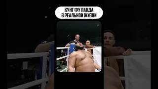 ⁉️ОН ВООБЩЕ РЕАЛЕН😱 #mma #ufc #бой #мма #бокс #юфс #бои #sports