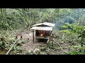 Video Full : The Process of Completing a Bamboo House - Experience Wild Life in the Jungle