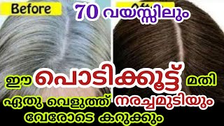 Natural Hairdye|ഈ പൊടിക്കൂട്ട് മതി എഴുപതിലും എത്ര വെളുത്ത് നരച്ച താടിയും മുടിയും കട്ടക്കറുപ്പാക്കാം