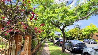 Harcourt Street Fortitude Valley Brisbane Suburb Walking Tour