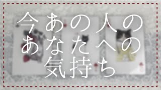 今のあの人のあなたへの気持ち【タロット・オラクル・恋愛・占い】