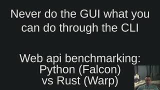 Web api benchmarking: Python (Falcon) vs Rust (Warp)