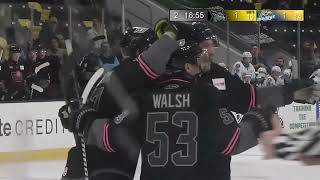 Heartlanders Defeat Walleye, 4-2: Feb. 14 Highlights