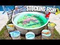 Stocking My Backyard SALTWATER NATIVE POND With Tons of FISH!! (for the last time)