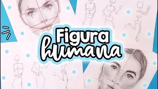 ¿Cómo dibujar la figura y rostro humano? PASO A PASO! ✄ Barbs Arenas Art!