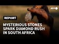 Mysterious stones spark diamond rush in South Africa | AFP