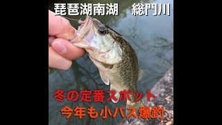 琵琶湖南湖　冬の定番「総門川」で小バス爆釣