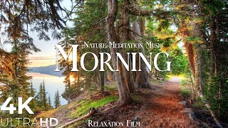Morning Nature - Relaxation Film - Peaceful Relaxing Music - 4k Video UltraHD