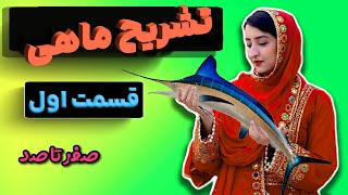 صفر تا صد نکات تشریح ماهی(قسمت اول)😍😍🦈🐬🐟🐠@moniretajdari