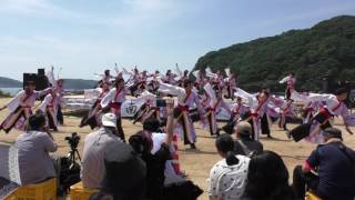 Team雅龍　「山紫水明」　南紀海彩まつり