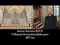 J.S. Bach, O Mensch, bewein dein Sünde groß BWV 622 - Johann Vexo, organ