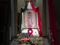 oración poderosa catolico elyrodriguez1762 oracion virgenmaria dios oracion fe virgendeguadalupe