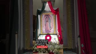 Oración poderosa #catolico#elyrodriguez1762#oracion#virgenmaria#dios#oracion#fe#virgendeguadalupe