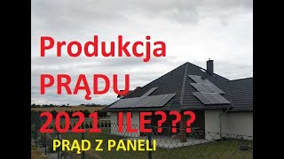 Produkcja prądu w roku 2021, panele fotowoltaiczne, opłacalność