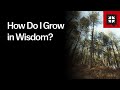 How Do I Grow in Wisdom?