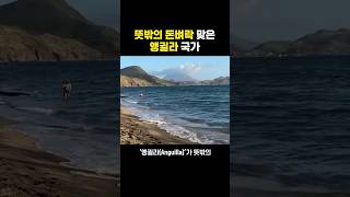 ai로 돈벼락 맞은 국가