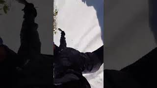 スノースケート＋雪遊び→パウダー最高