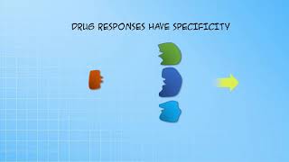 Introduction to PD -drug receptor interactions