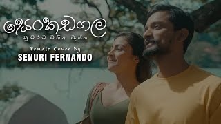 Senkadagala Nuwarata (සෙන්කඩගල නුවරට) Cover Song