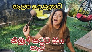 හැලප දොළදුකට කිඹුල් කටට ගිය හැටි 🐊 😨 | හැලප | Srilankan Foods | Traditional | Nimanthi Porage