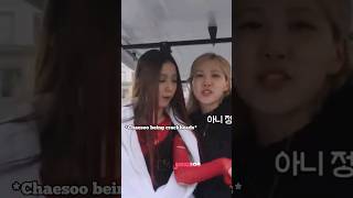 Chaesoo being crackheads #viral #blackpink #fypシ #kpop #jisooflower #rose