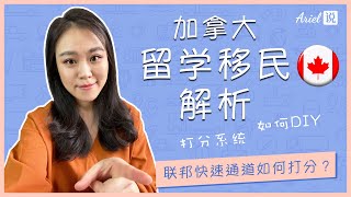 加拿大留学移民解析 ｜ 联邦快速通道打分系统 ｜ 看完你也会DIY