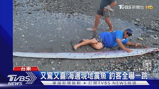 釣客搏鬥40分鐘 捕獲「6公尺地震魚」｜TVBS新聞