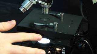 Microscope Care and Usage