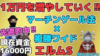 【競馬予想】エルムSで1万円を増やせ!!マーチンゲール法と確率の高い複勝＆ワイドを使ってどこまで資金が増やせるか検証していく番組。100万円を目指す!!