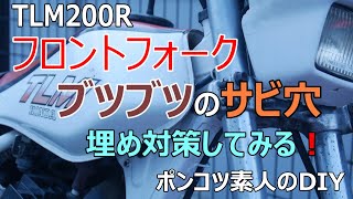 「ちょこっとレストア編」TLM200Rフロントフォーク  サビ対策