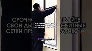 😱 Немедленно выбросите свои старые москитные сетки прямо в помойку.