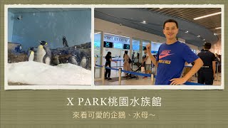 XPark桃園水族館（上集）快速帶你了解亮點！