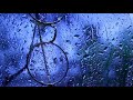 thunderstorm sounds with heavy downpours of rain u0026 loud thunder relaxing sleep sounds for insomnia