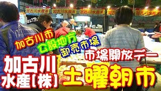 加古川　市場開放デー・土曜朝市　加古川水産(株)　加古川市公設地方卸売市場　加古川市地域振興課