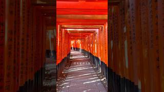 【稲荷神社の総本宮】伏見稲荷大社/[The main shrine of Inari Shrines] Fushimi Inari Taisha.#kyoto #japan #fushimiinari