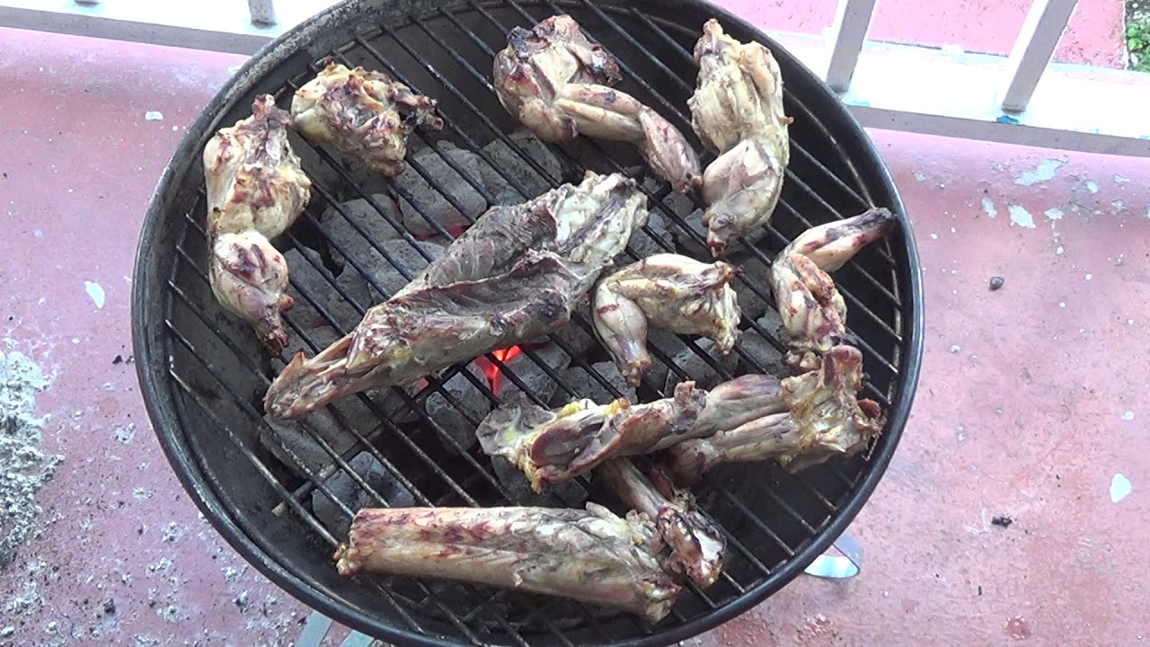 Grilling Iguanas Youtube
