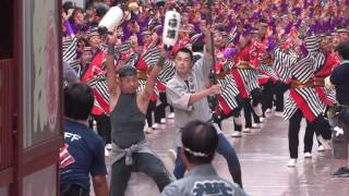 帯屋町筋　第63回よさこい祭り本祭１日目　帯屋町筋競演場1回目４K　2016．8．10