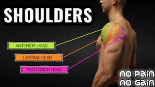5 best shoulder workout || how to build bigger shoulders || right way to make bigger shoulder ||